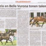 Bea paardenkrant 1