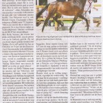 Bea paardenkrant 2