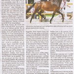 Bea paardenkrant 2